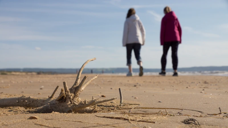 personer på en strand