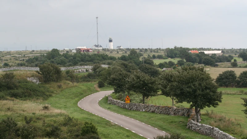 väg i landskap