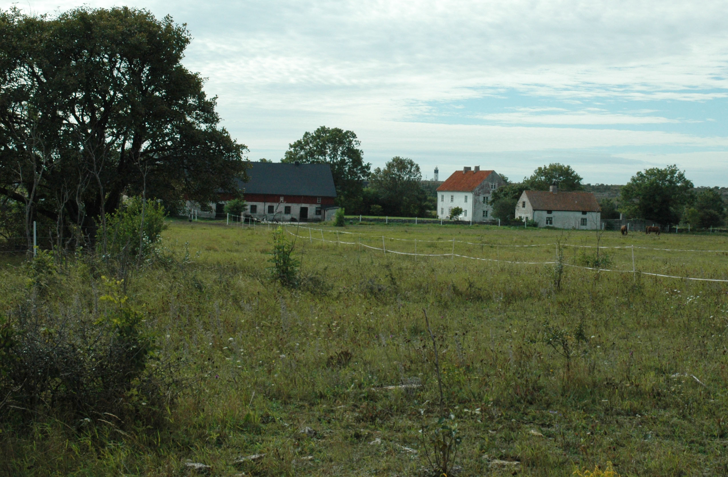 På gården finns det hästar och två vita hus samt en lada.