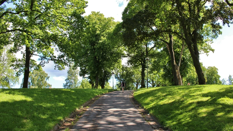 Park
