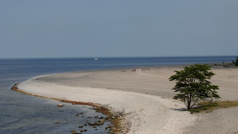 stenkusten