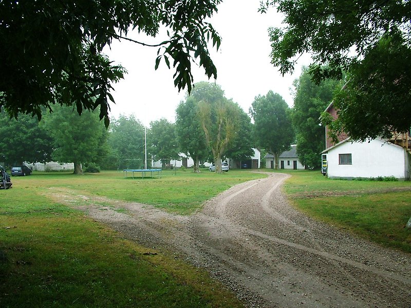 Grusväg som leder till en gård på landsbygden.