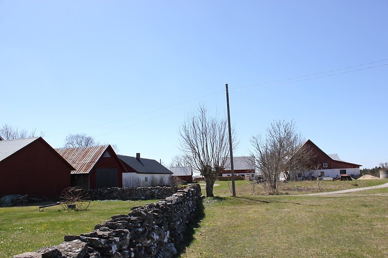 En liten bebyggelse och ett staket av gotländsk natursten.