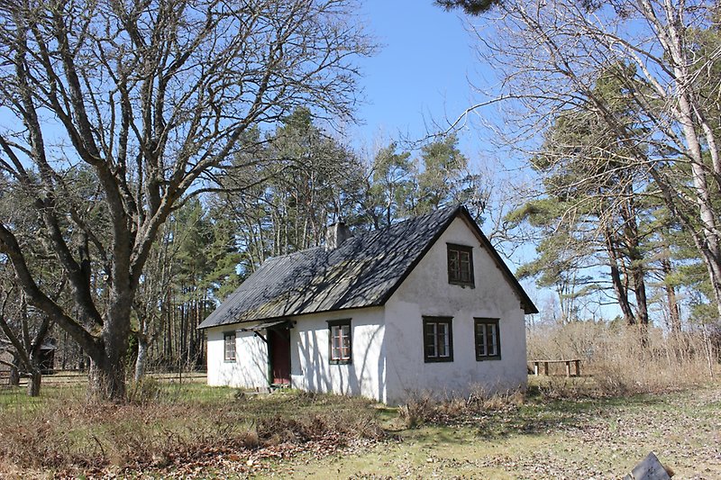 Ett litet vitt hus med gröna fönsterramar, bruna fönster och ett svart tak.