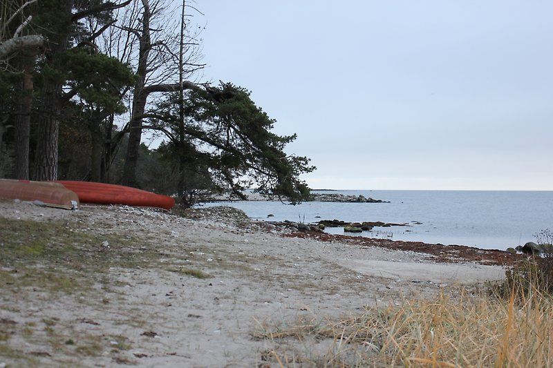 Bild på Gotlands fiskehamn med havsutsikt.