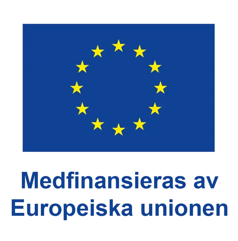 EU-logga, Medfinansieras av Europeiska unionen