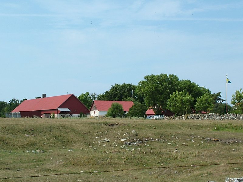 Lite längre bort på gården finns det flera vita byggnader med röda plåttak.