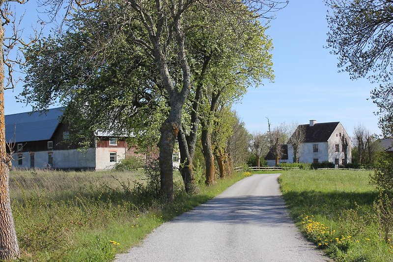 På vänster sidan av landsvägen finns det en liten bebyggelse av flera vita hus.