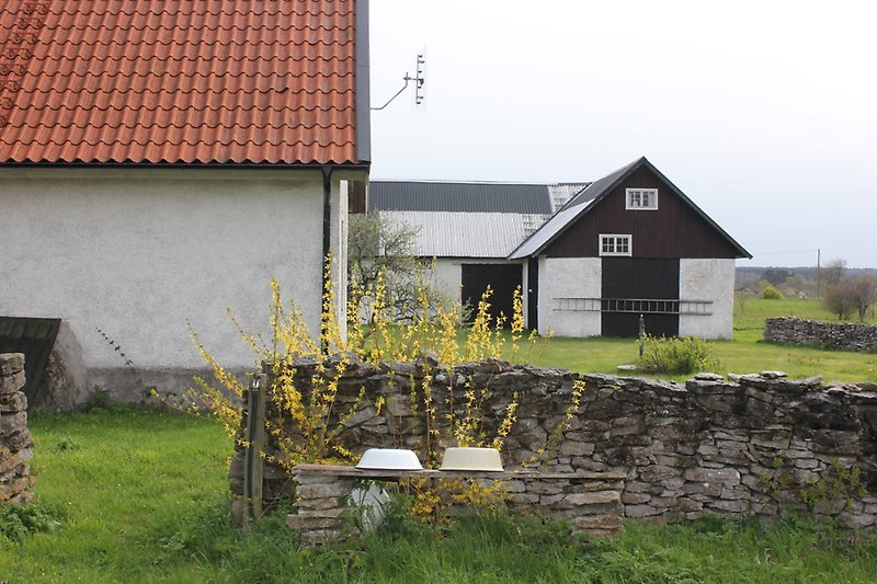 Bakom stenmuren finns det ett vitt hus med ett rött tak och en vit lada med ett svart plåttak.