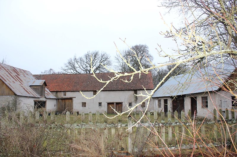 Flera byggnader med gråa väggar på en gård i Hallinge.