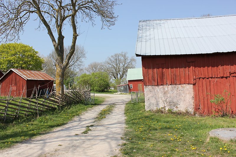 På gården finns det flera röda byggnader med träfasader och gråa plåttak.