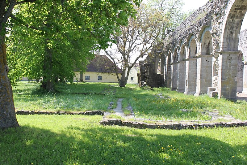 Klosterruin under sommartid