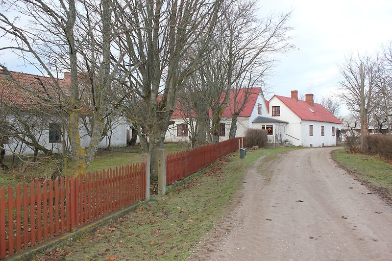 Flera vita hus med rött staket på vänster sidan jäms med vägen