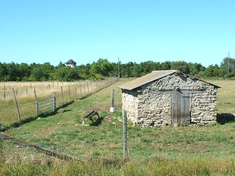 Efter en liten stenbyggnad kan man se längst bort i fältet, i ett skogsområde, en vit kvarn med ett svart tak.