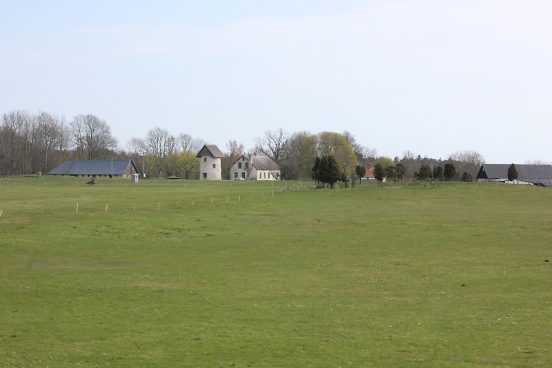 Ett öppet landskap med några små byggnader och grönt fält.