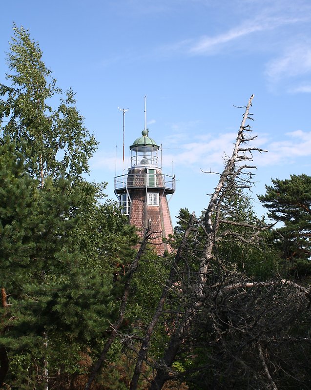 Genom ett skogsområdet kan man se Gotska Sandöns fyr.