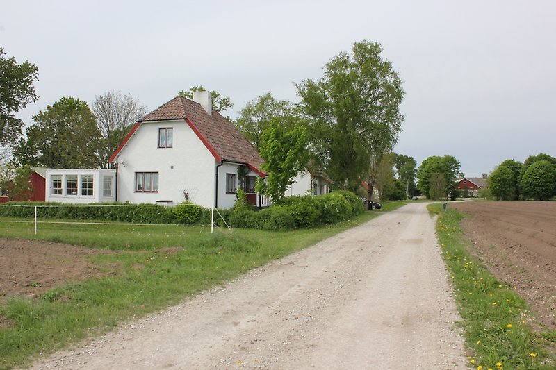 På vänster sida av grusvägen ligger ett vitt hus med röda fönster och ett rött tegeltak med en skorsten.